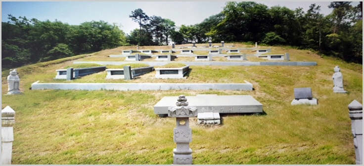 ys05.jpg